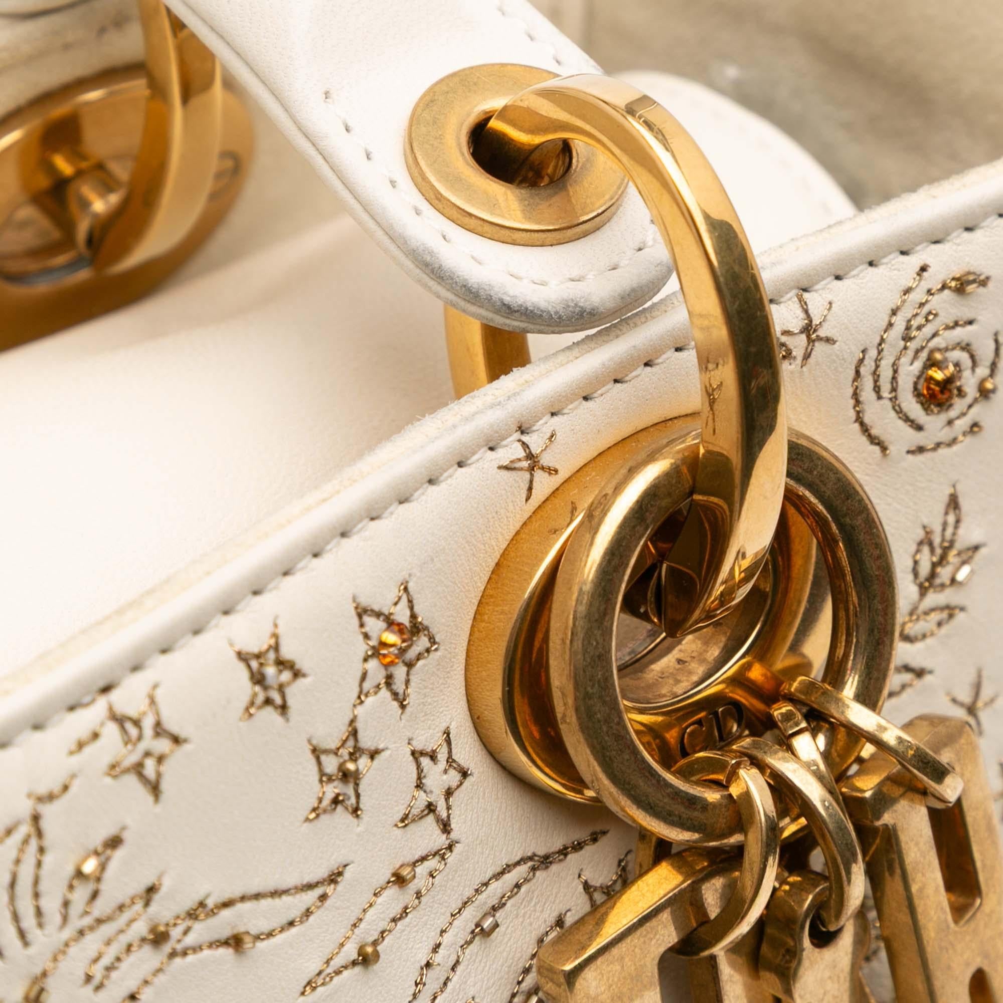 Dior Medium Calfskin Embroidered Astrology Lady Dior