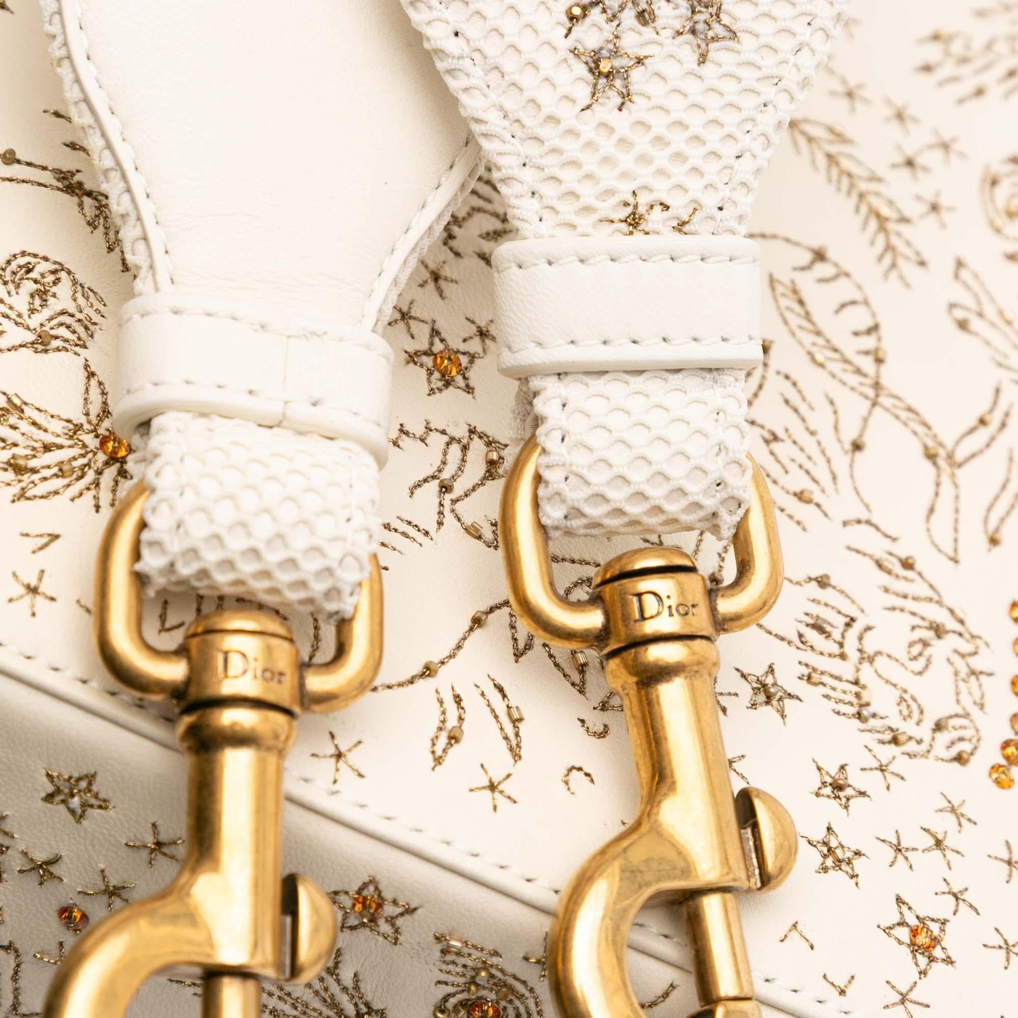 Dior Medium Calfskin Embroidered Astrology Lady Dior