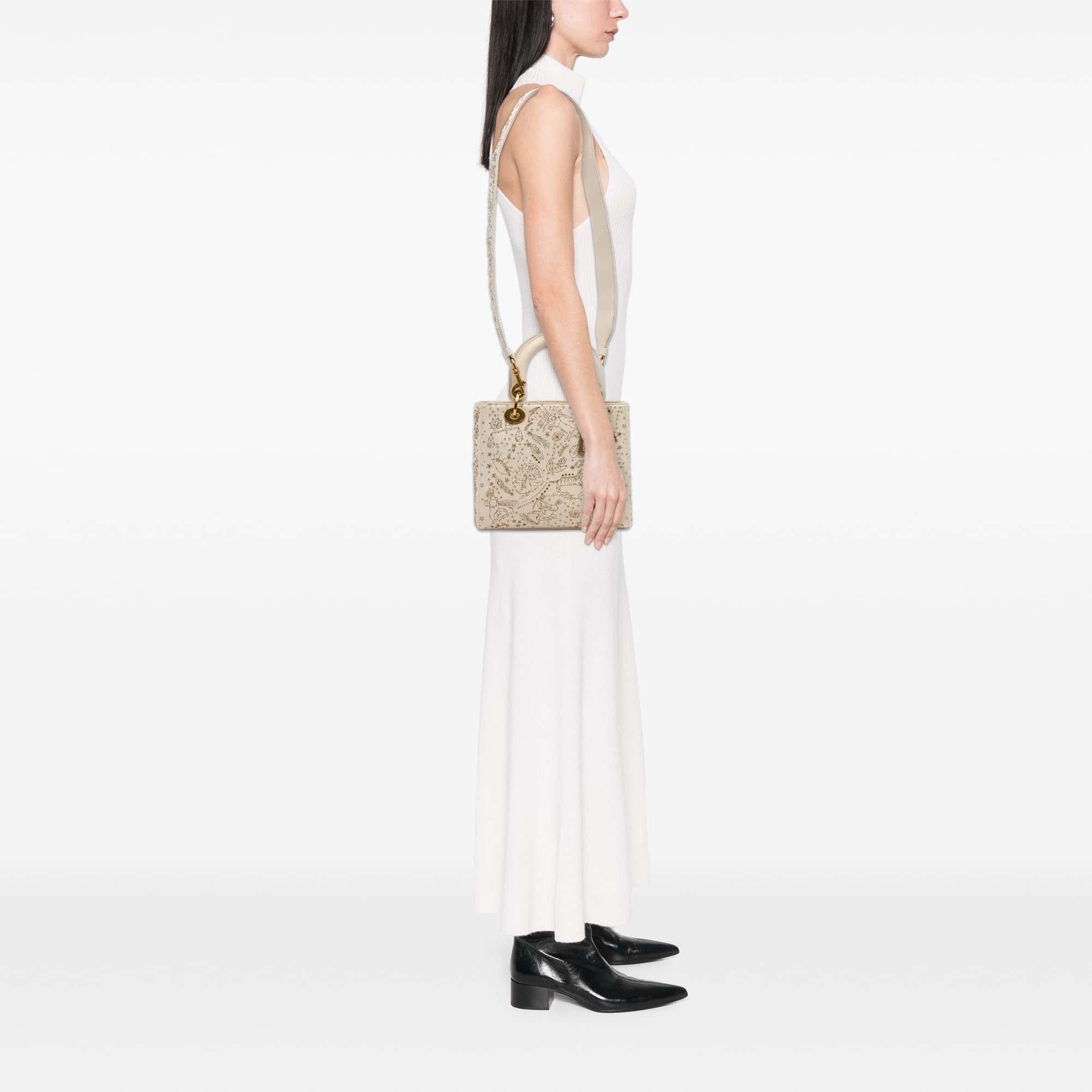 Dior Medium Calfskin Embroidered Astrology Lady Dior