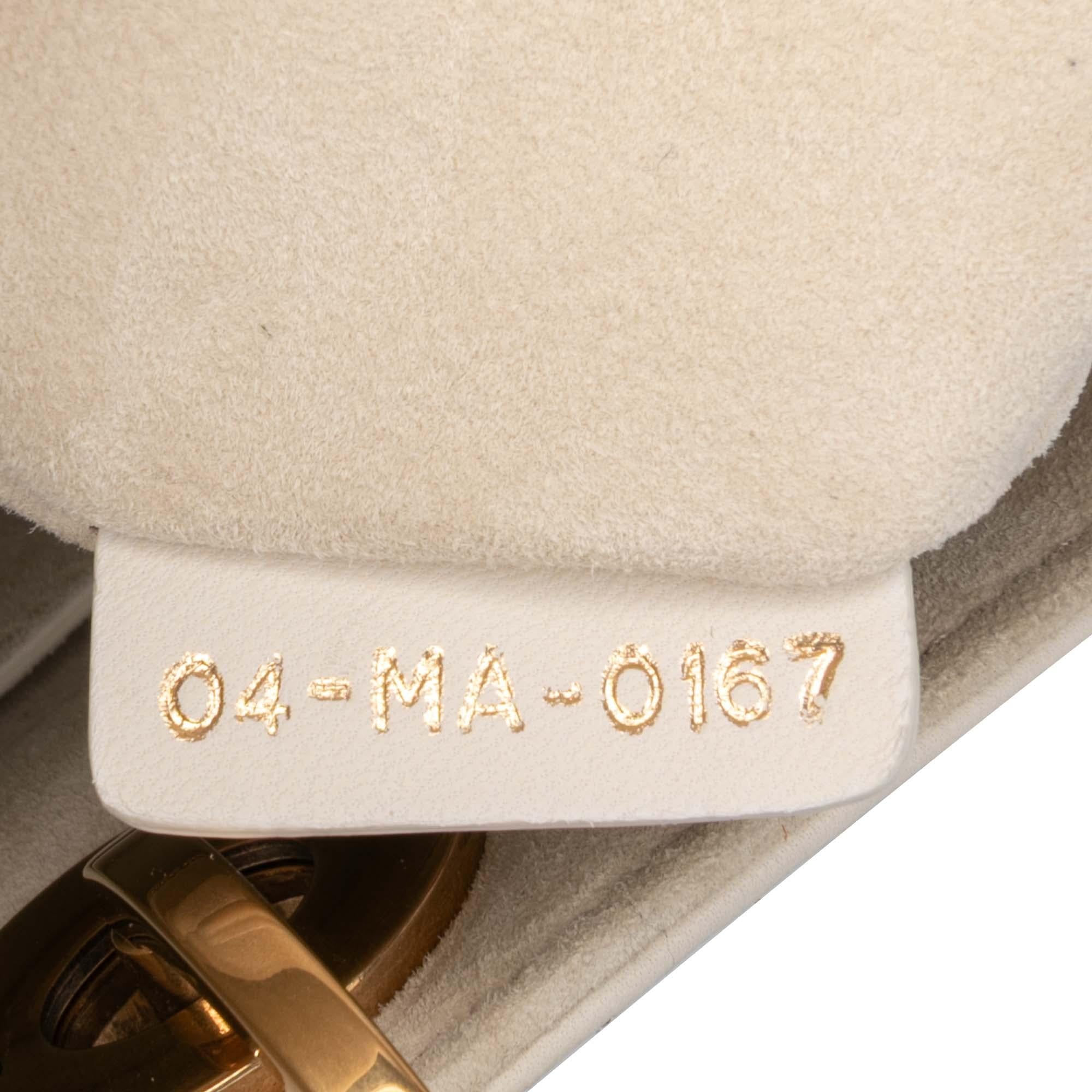 Dior Medium Calfskin Embroidered Astrology Lady Dior