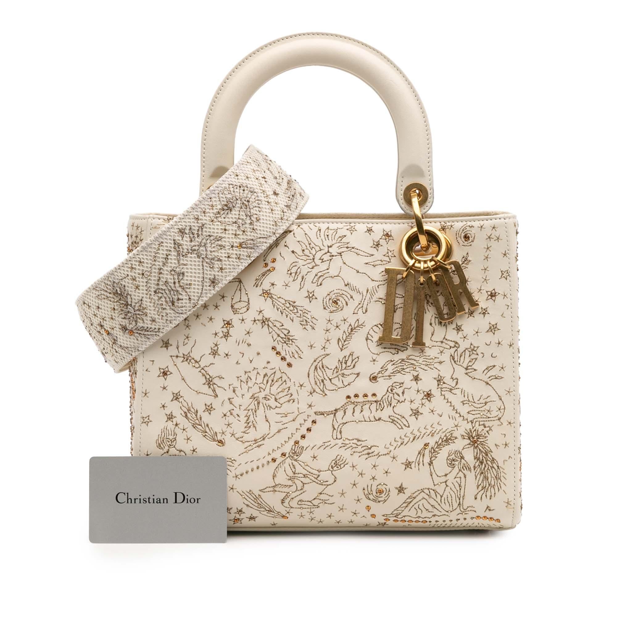 Dior Medium Calfskin Embroidered Astrology Lady Dior
