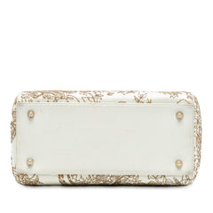 Dior Medium Calfskin Embroidered Astrology Lady Dior
