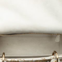 Dior Medium Calfskin Embroidered Astrology Lady Dior