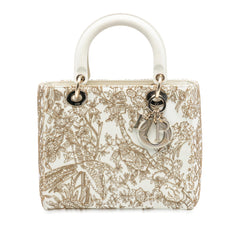 Dior Medium Calfskin Embroidered Astrology Lady Dior