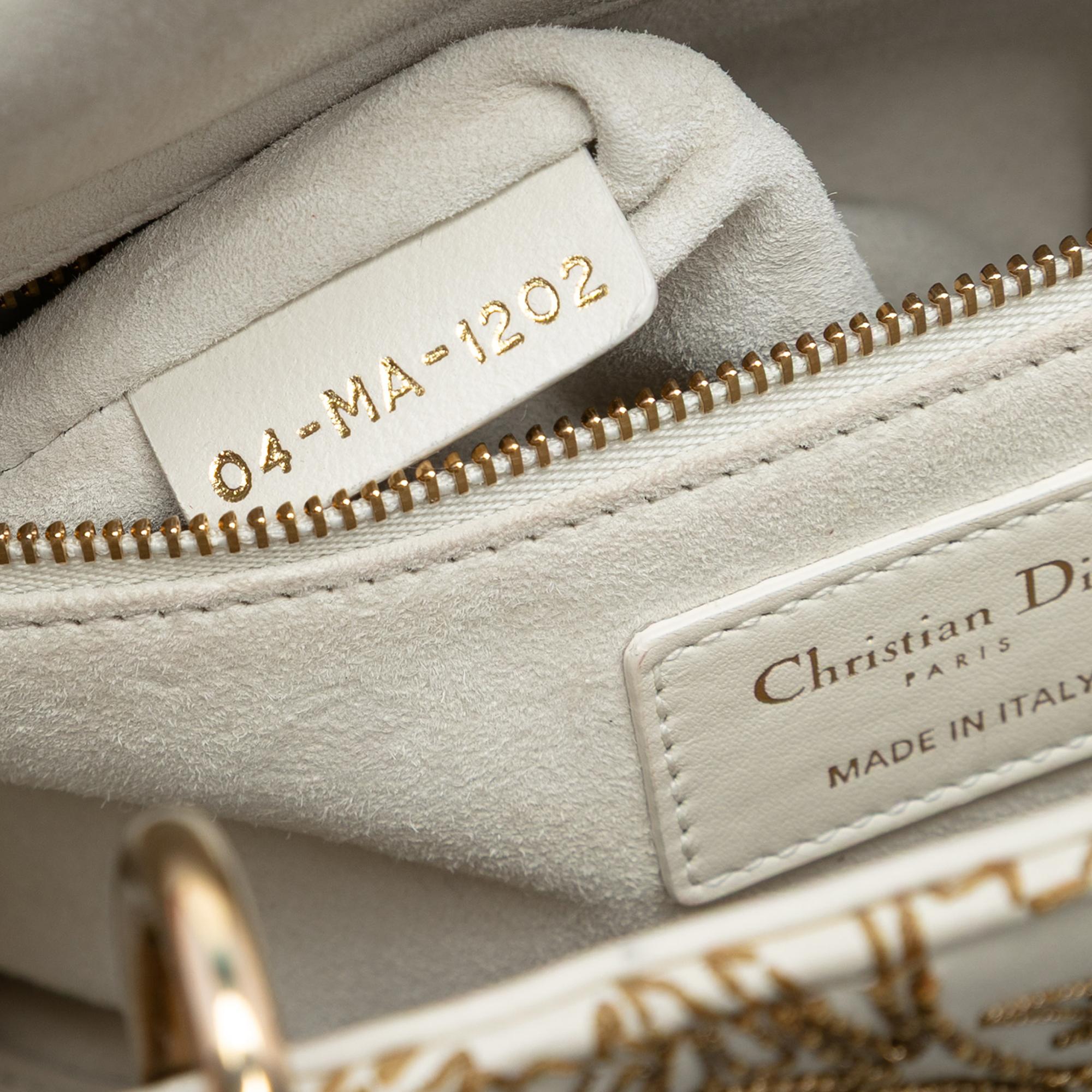 Dior Medium Calfskin Embroidered Astrology Lady Dior