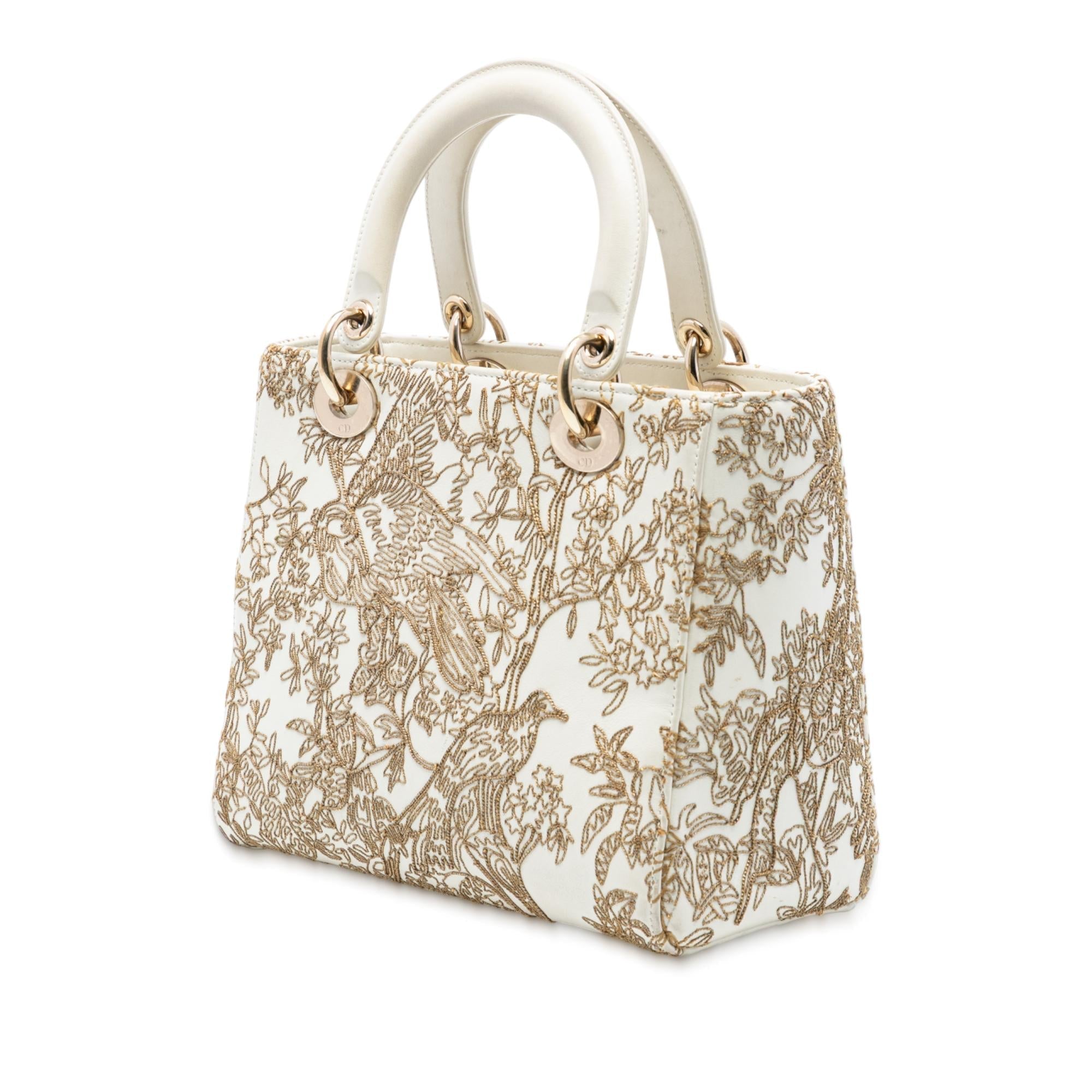 Dior Medium Calfskin Embroidered Astrology Lady Dior