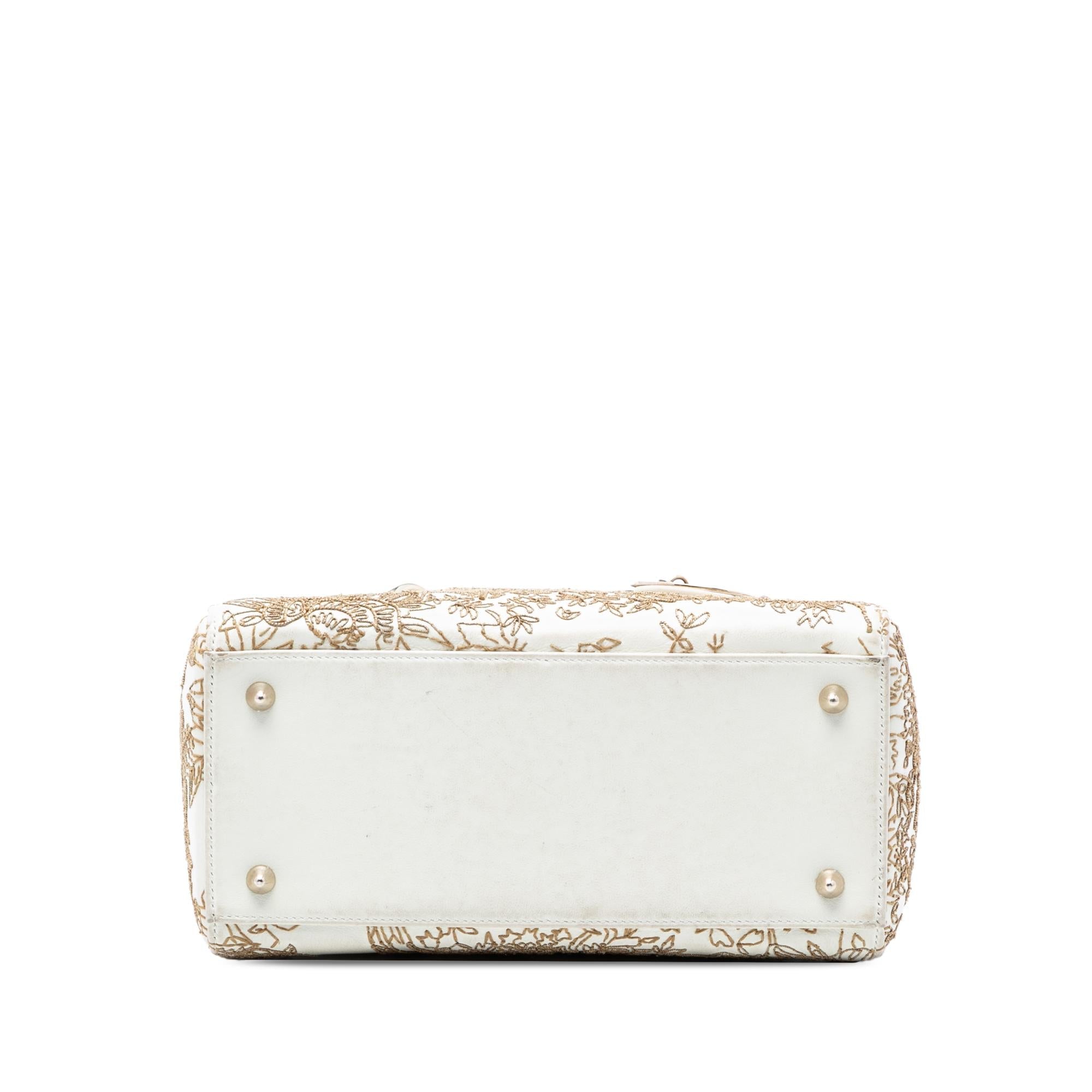 Dior Medium Calfskin Embroidered Jardin D Hiver Lady Dior