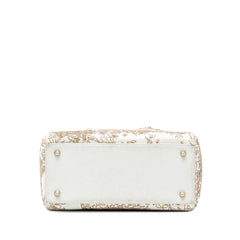 Dior Medium Calfskin Embroidered Jardin D Hiver Lady Dior