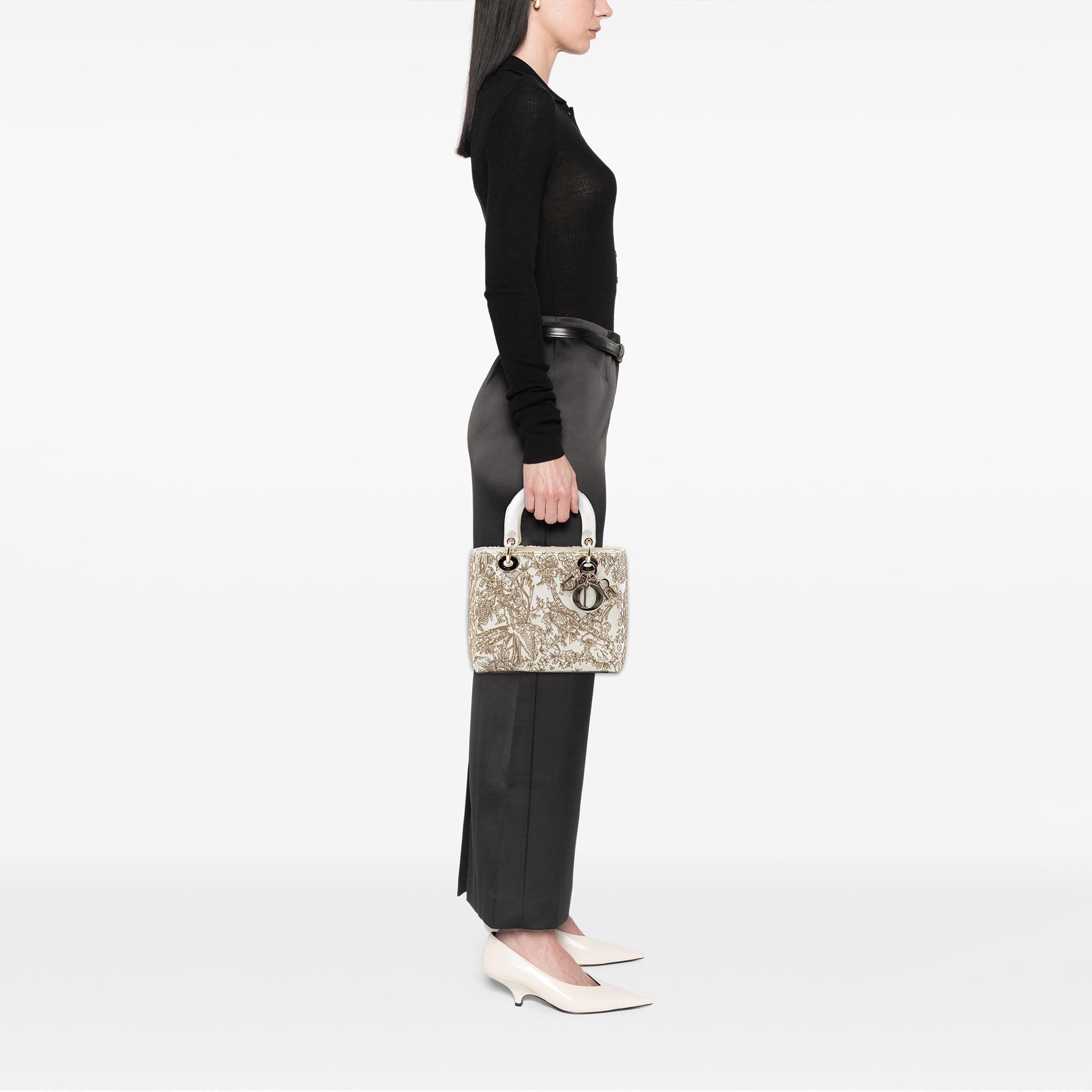 Dior Medium Calfskin Embroidered Jardin D Hiver Lady Dior