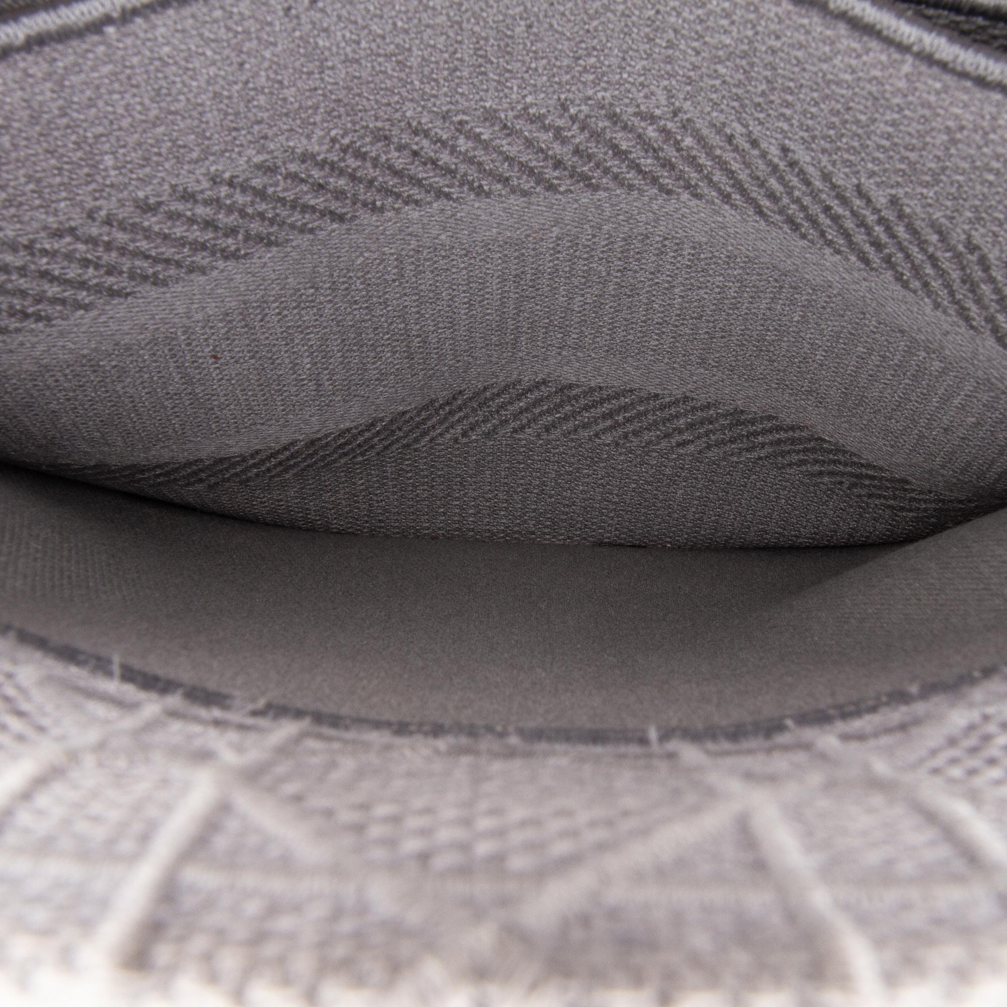 Dior Medium Canvas Cannage Lady D Lite
