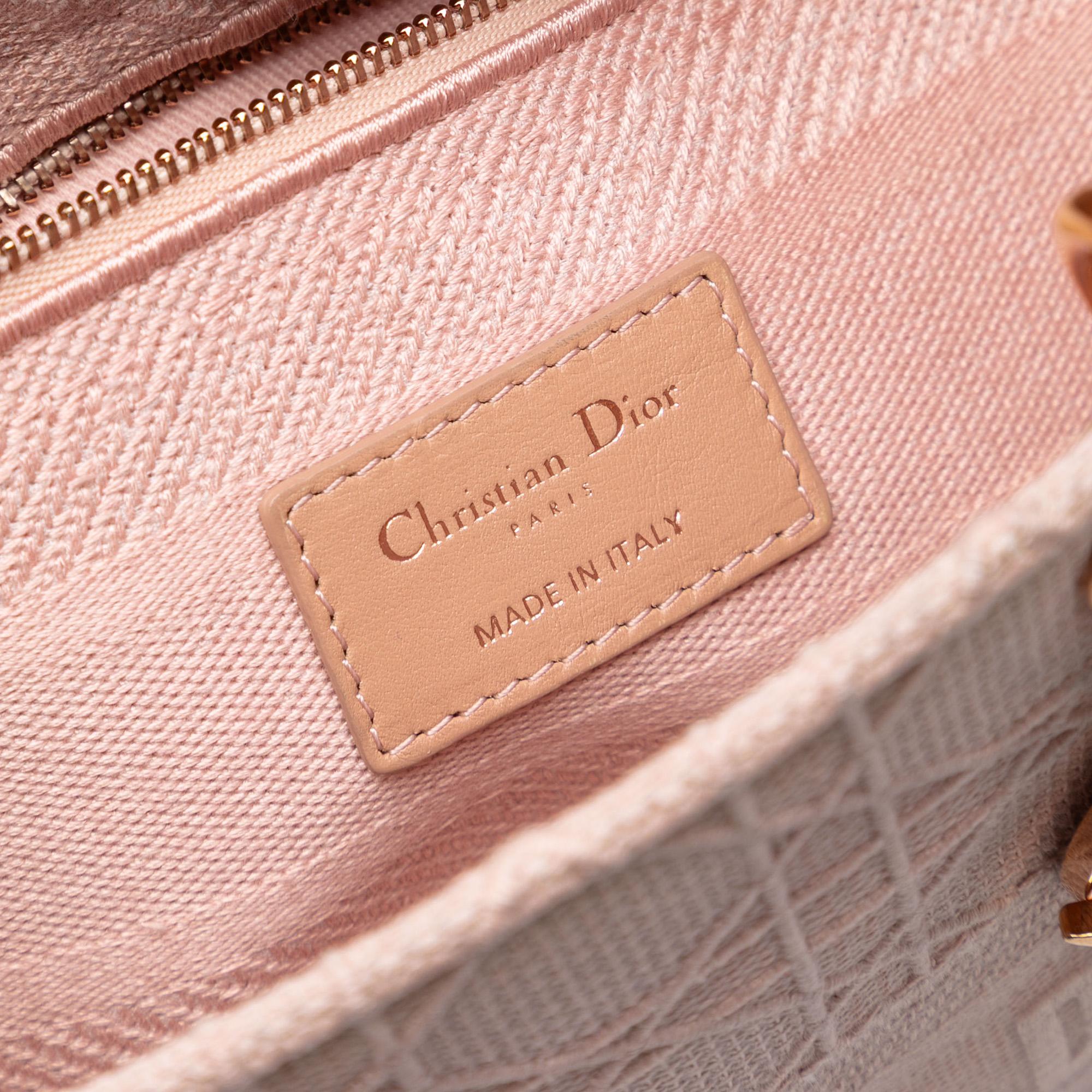Dior Medium Canvas Cannage Lady D Lite