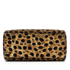 Dior Medium Canvas Leopard Print Lady Dior