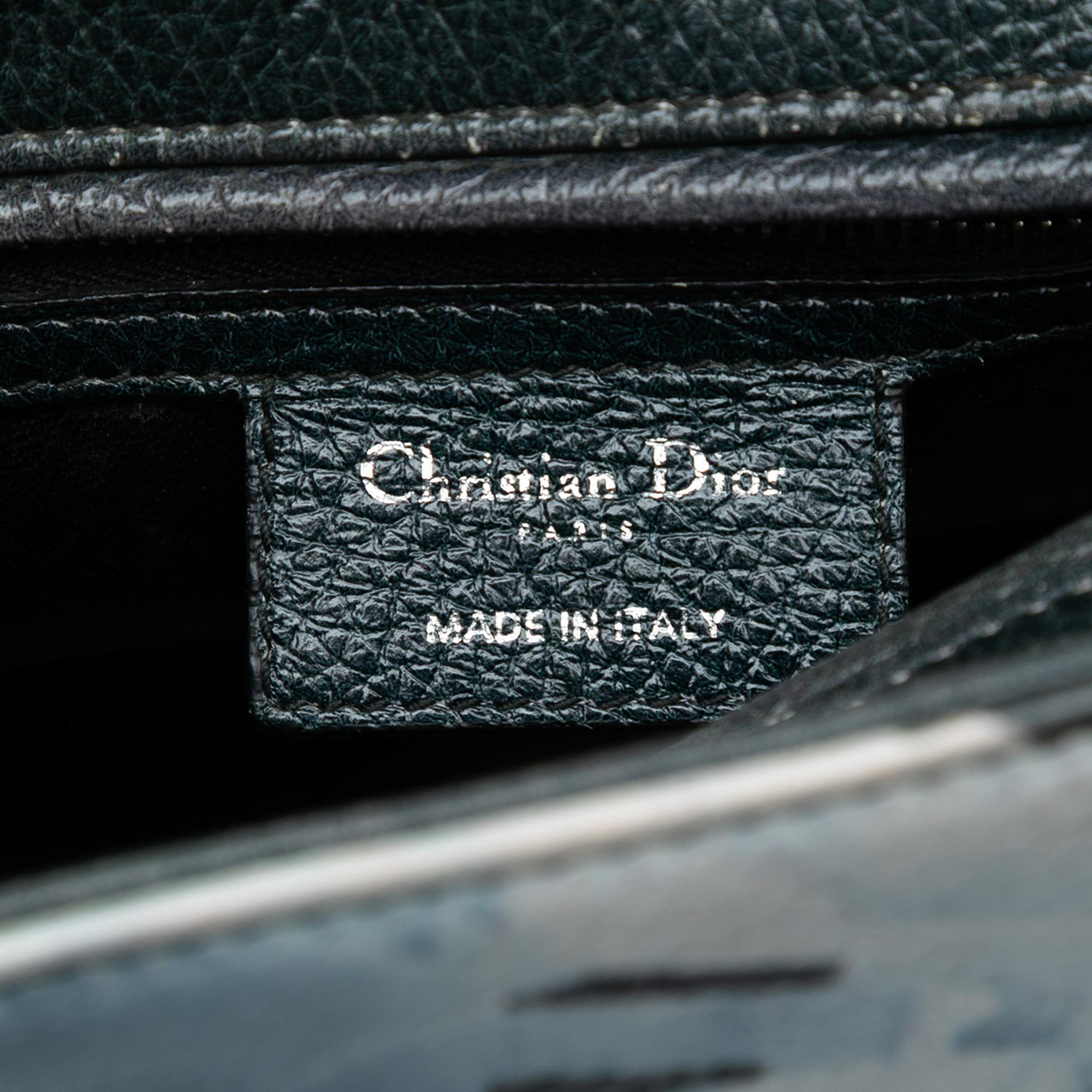 Dior Medium Deerskin Floral Print Lady Dior