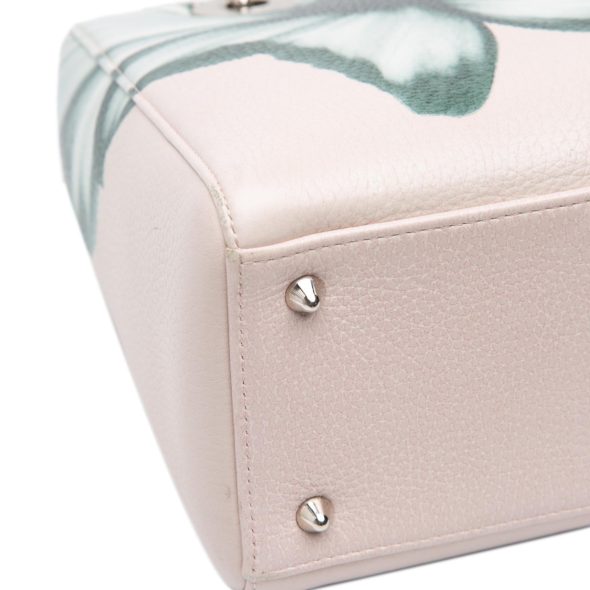 Dior Medium Deerskin Floral Printed Lady Dior