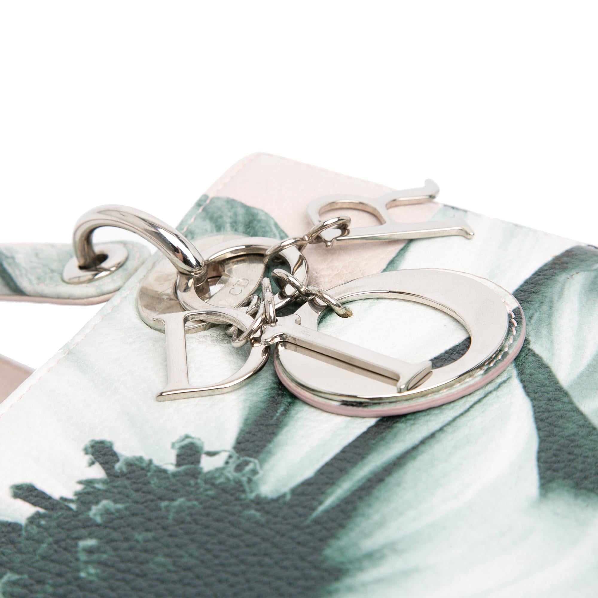Dior Medium Deerskin Floral Printed Lady Dior