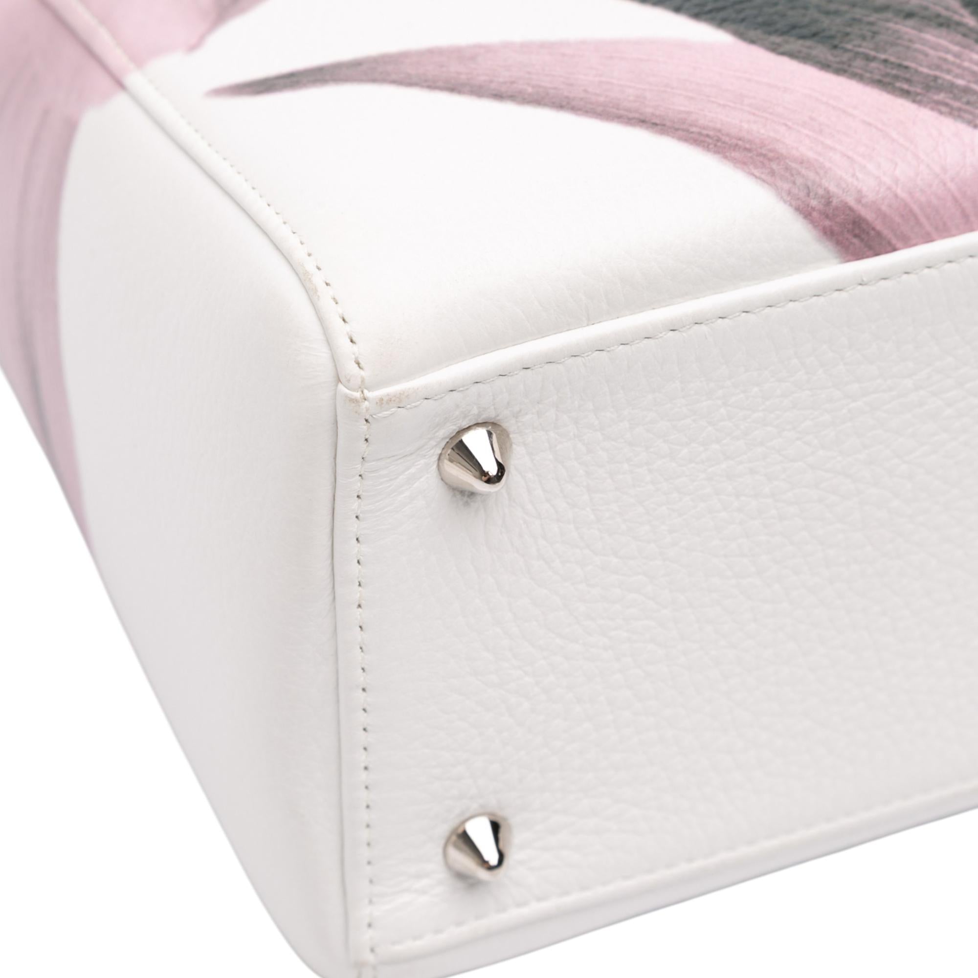 Dior Medium Deerskin Floral Printed Lady Dior