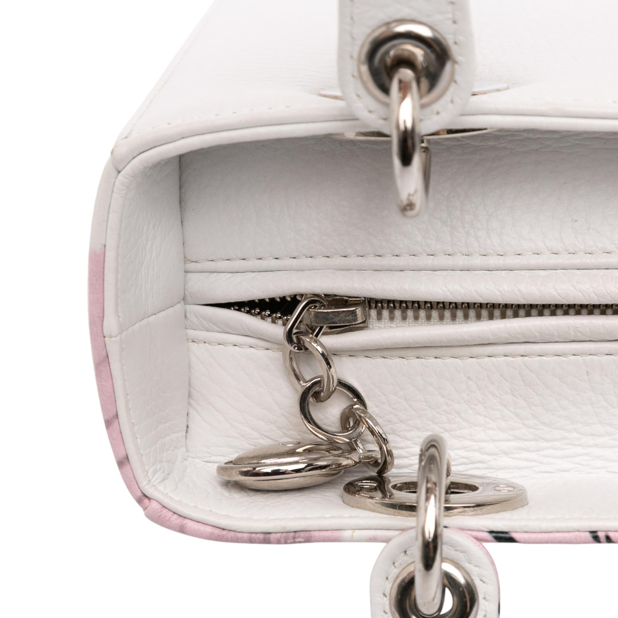 Dior Medium Deerskin Floral Printed Lady Dior