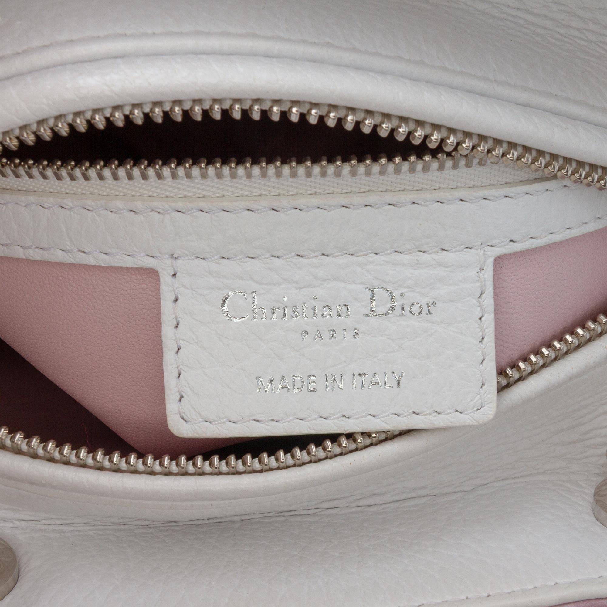 Dior Medium Deerskin Floral Printed Lady Dior