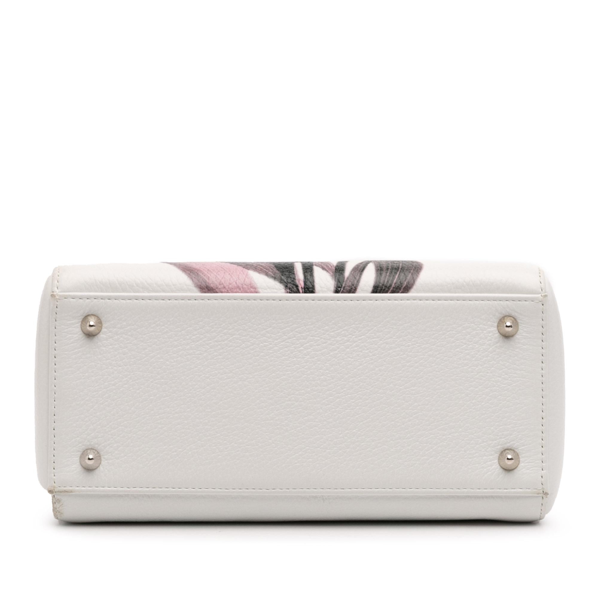 Dior Medium Deerskin Floral Printed Lady Dior