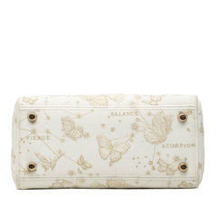 Dior Medium Embroidered Canvas Butterfly Zodiac Lady D Lite
