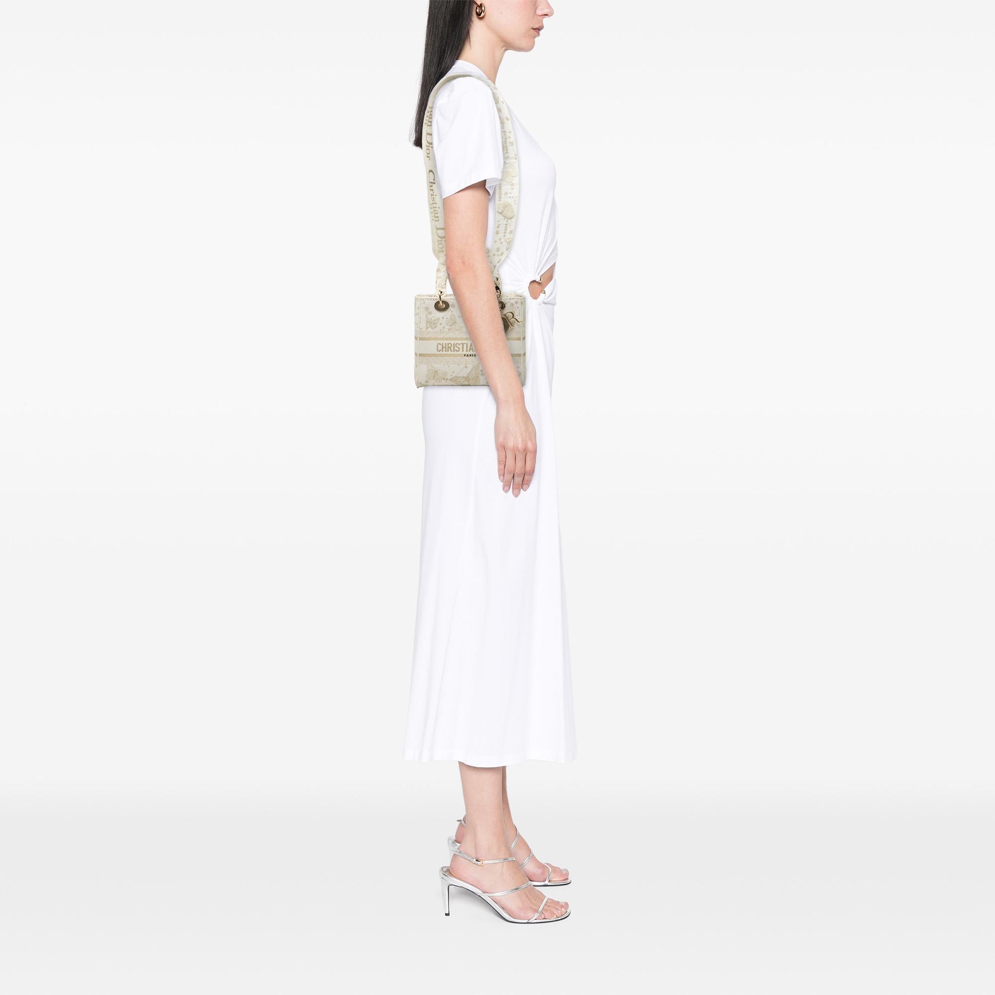 Dior Medium Embroidered Canvas Butterfly Zodiac Lady D Lite