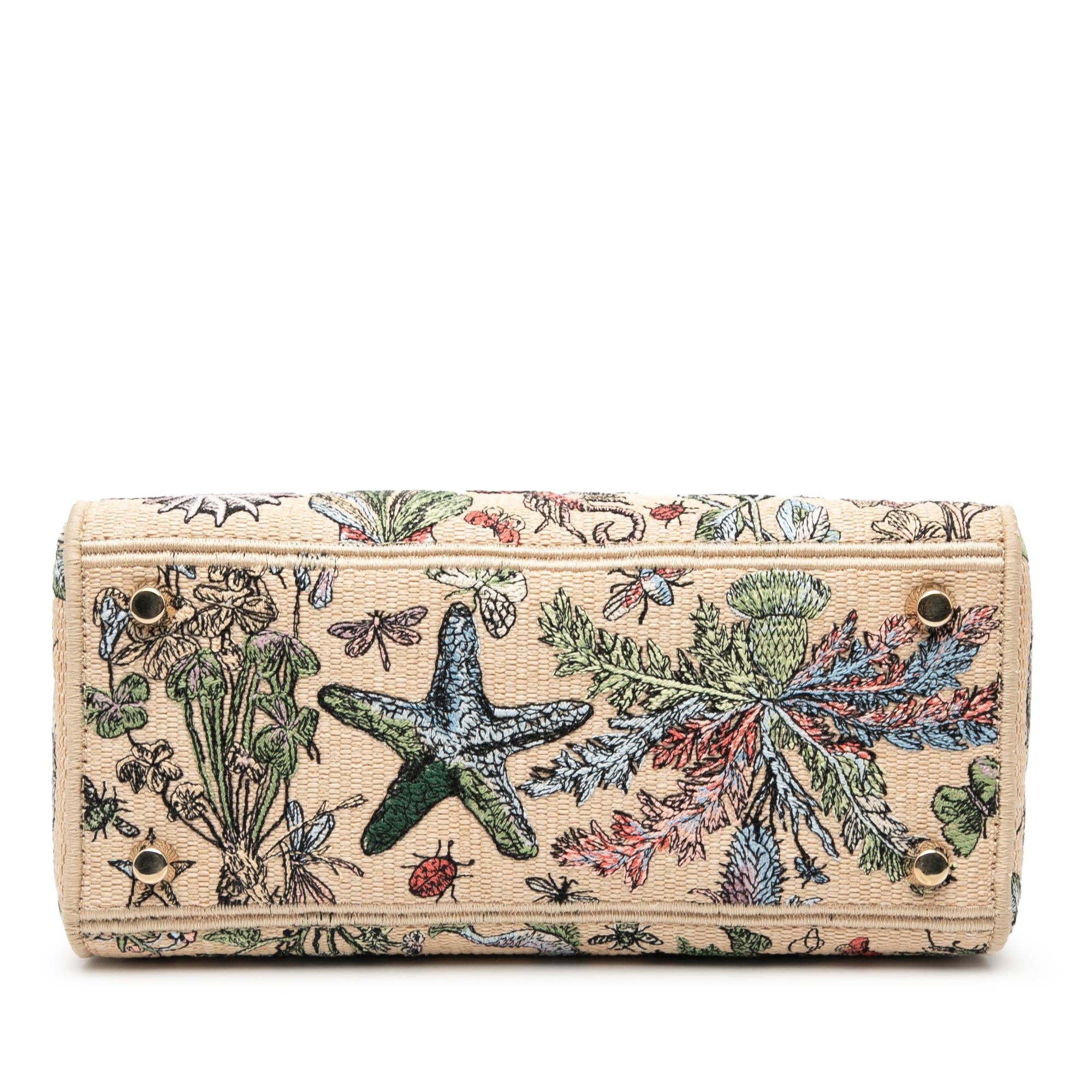 Dior Medium Embroidered Canvas Lady D Lite
