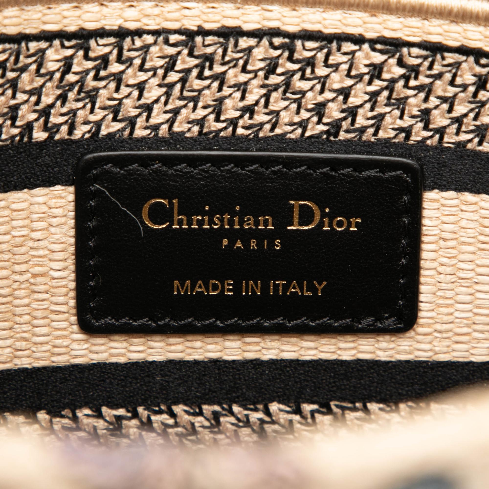 Dior Medium Embroidered Canvas Lady D Lite