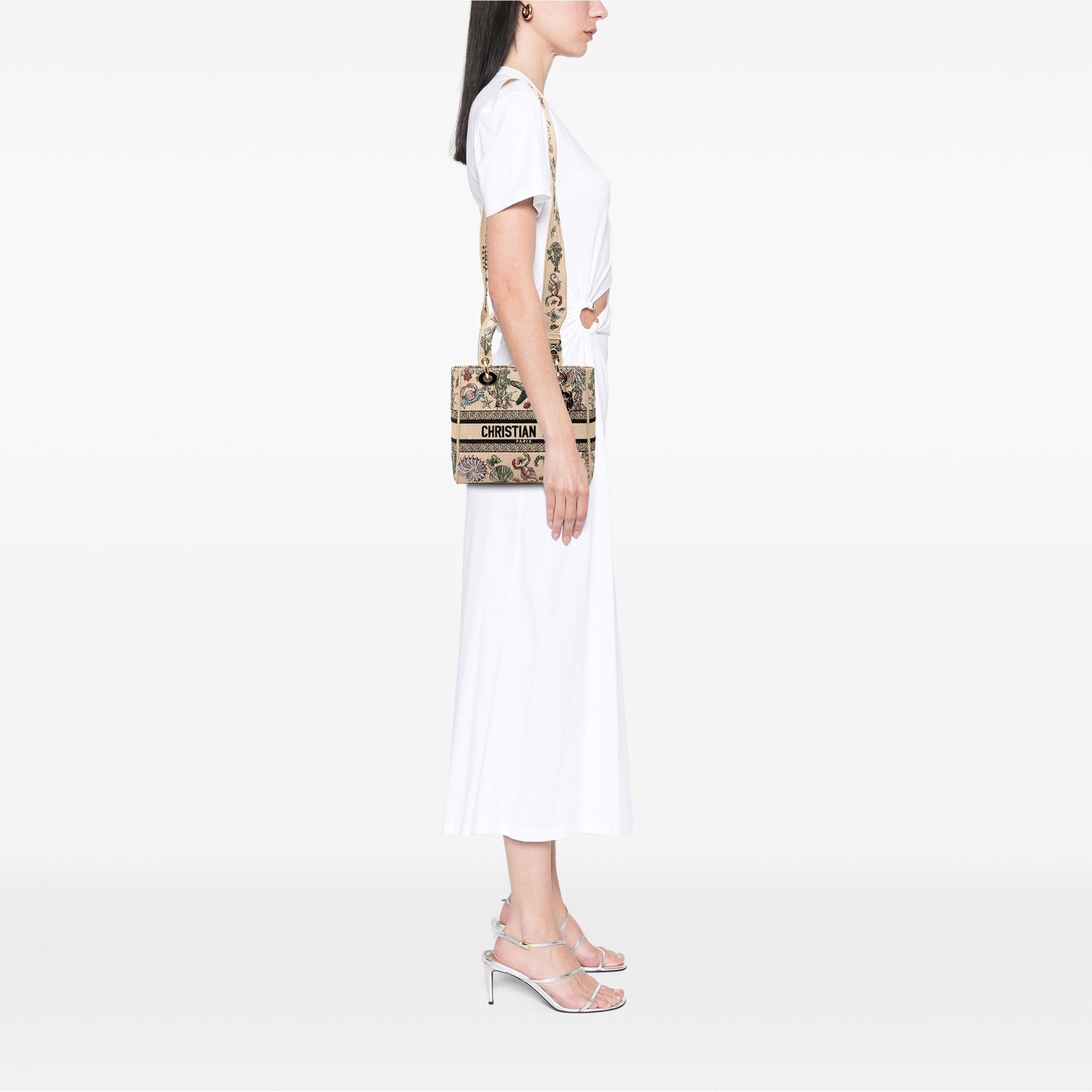 Dior Medium Embroidered Canvas Lady D Lite