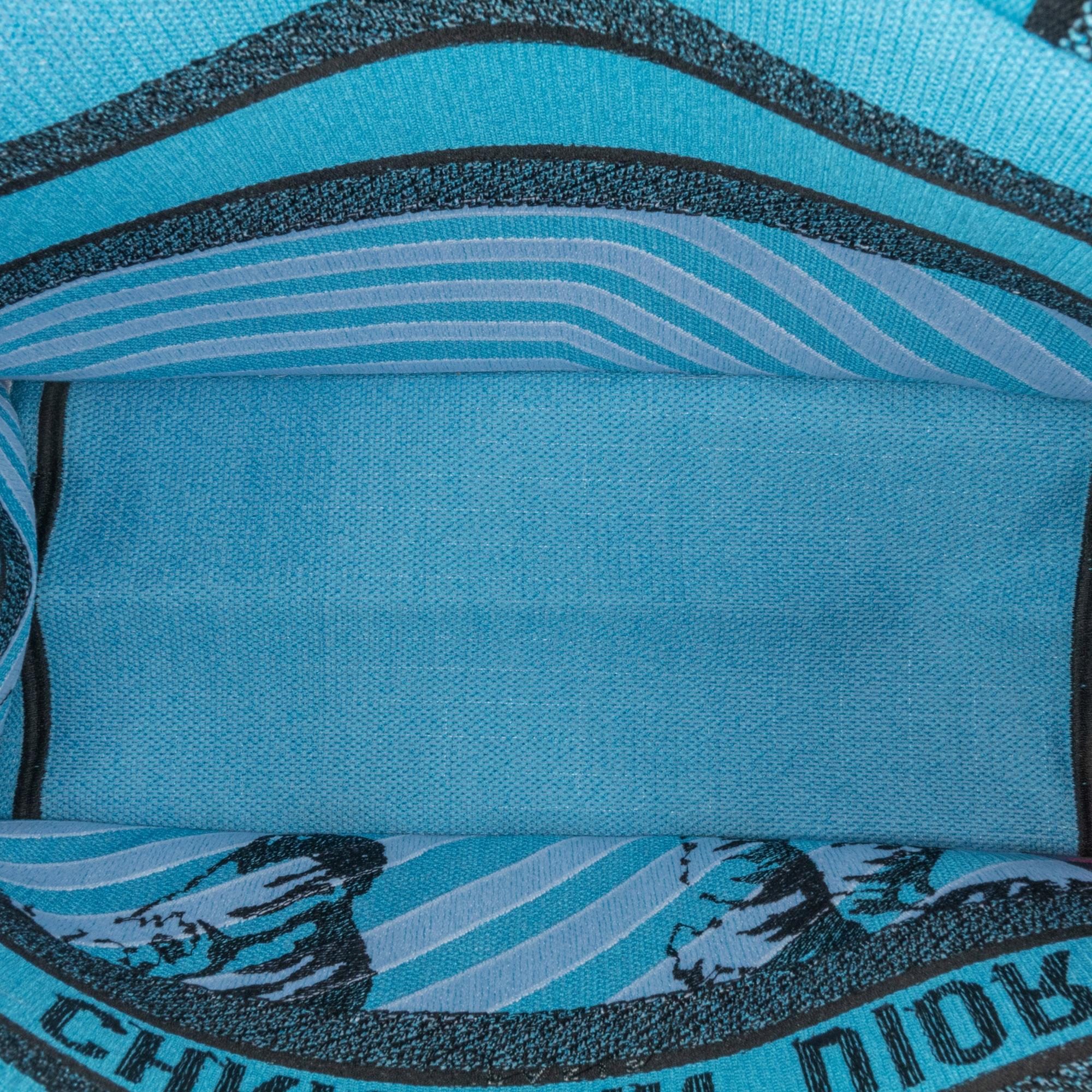 Dior Medium Embroidered Canvas Zebra D Jungle Pop Book Tote