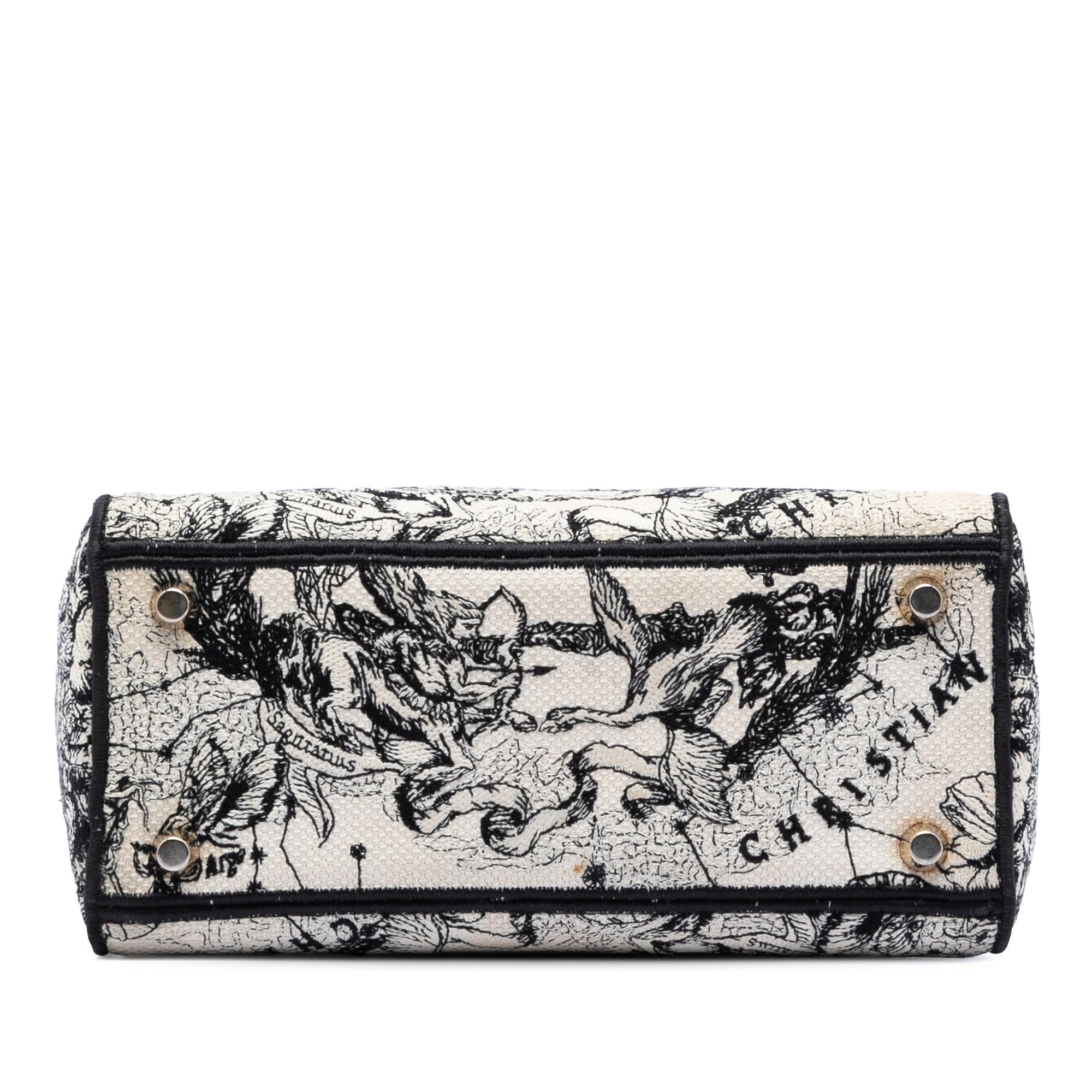 Dior Medium Embroidered Canvas Zodiac Lady D Lite