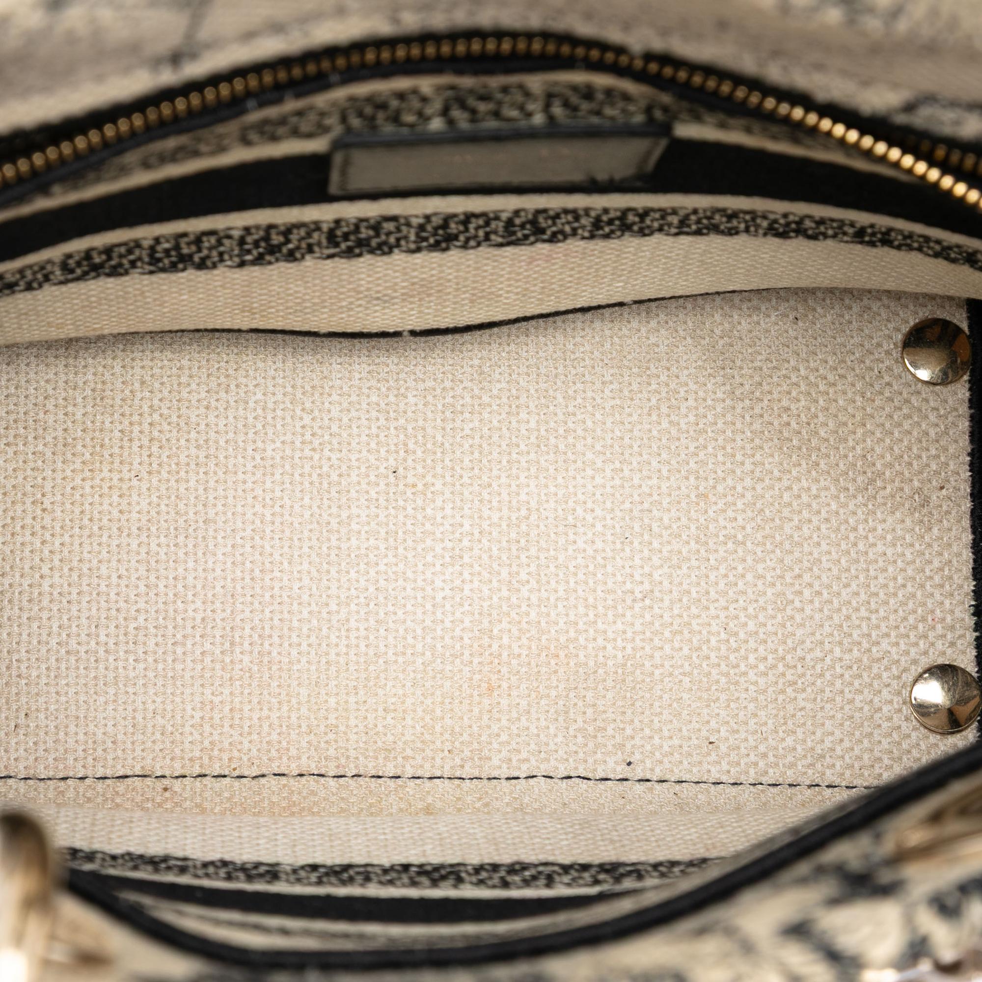 Dior Medium Embroidered Canvas Zodiac Lady D Lite