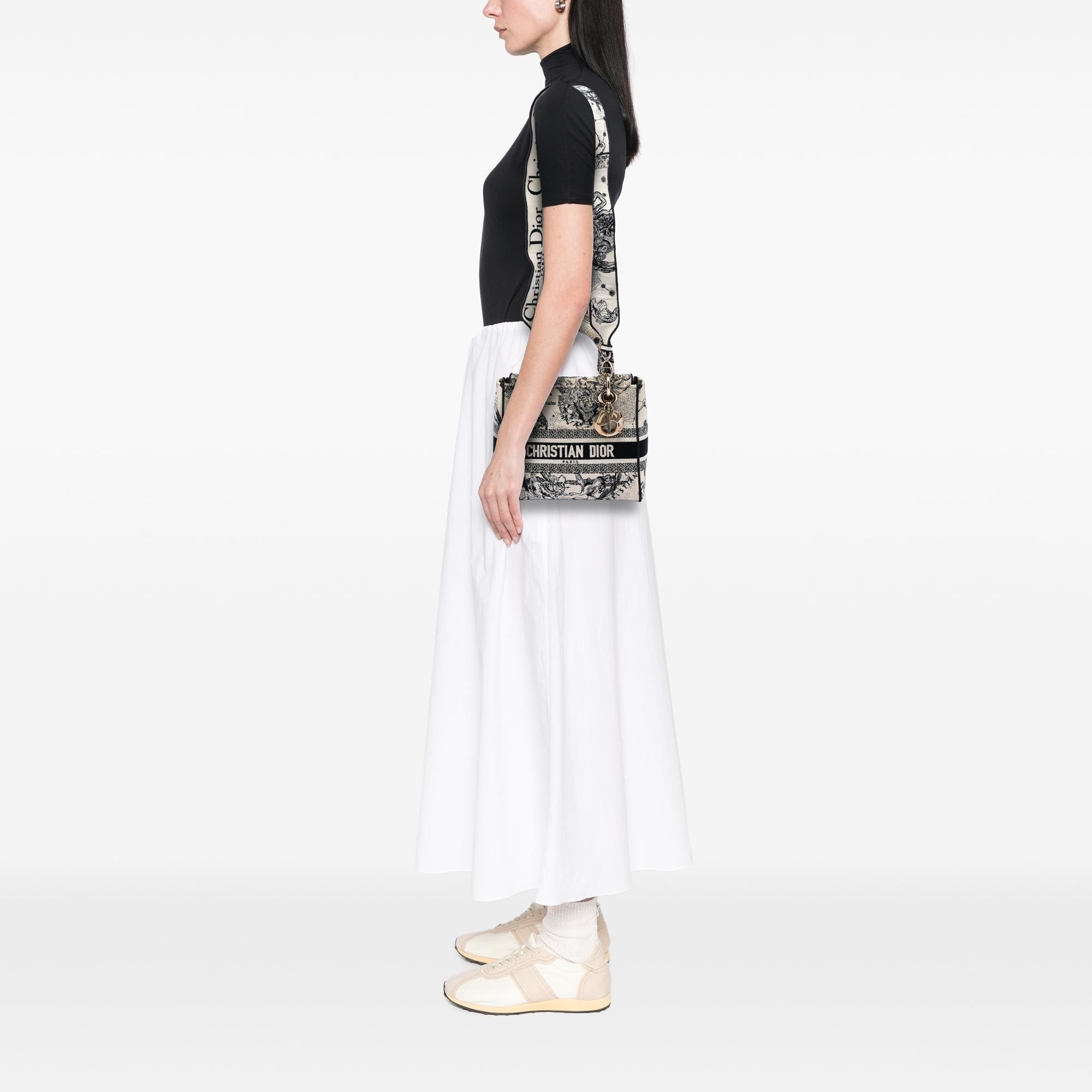 Dior Medium Embroidered Canvas Zodiac Lady D Lite
