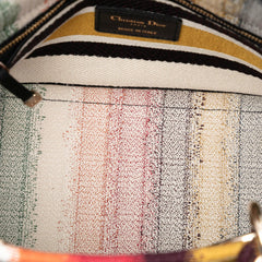 Dior Medium Embroidered Multicolor Canvas Striped Lady D Lite