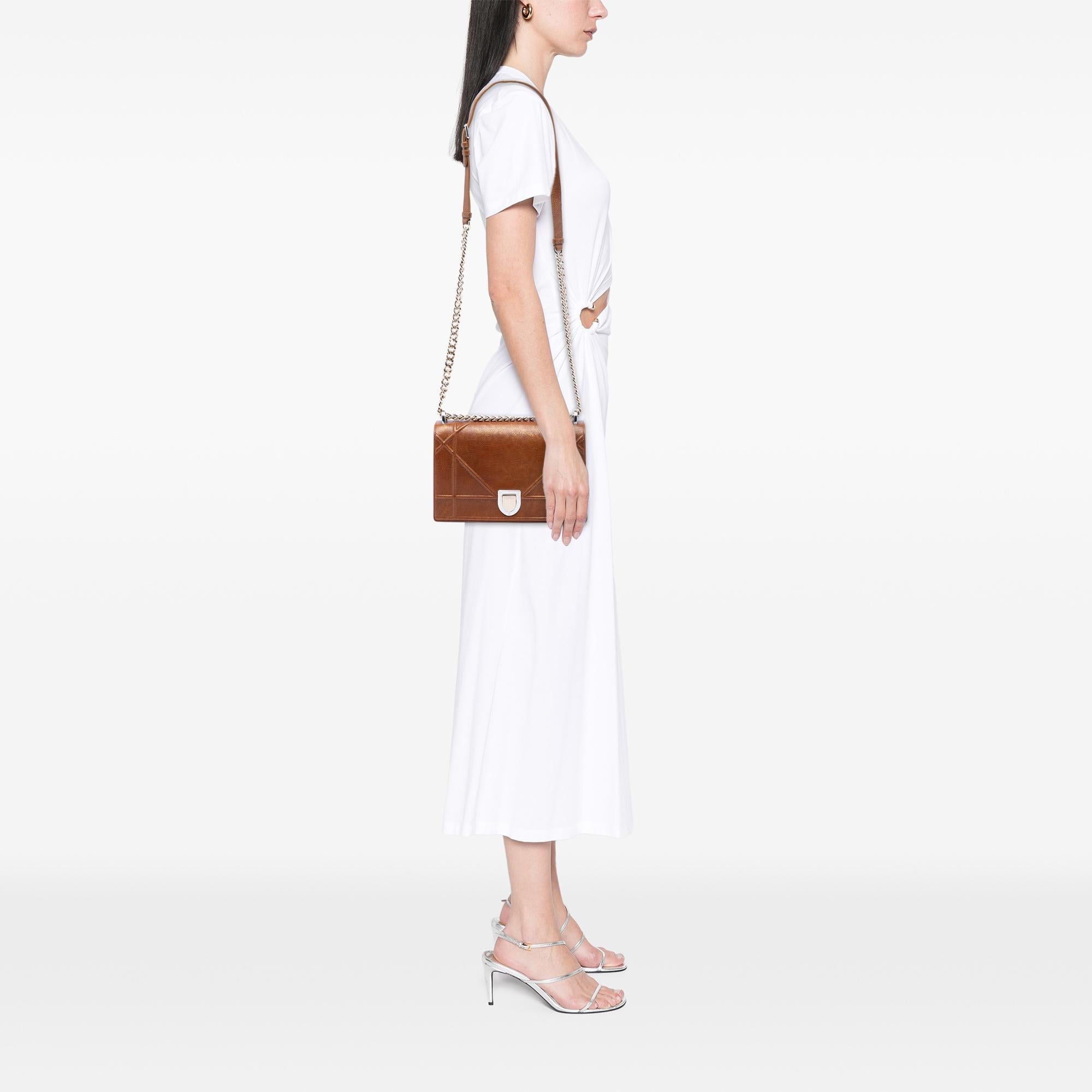 Dior Medium Goatskin Diorama Flap