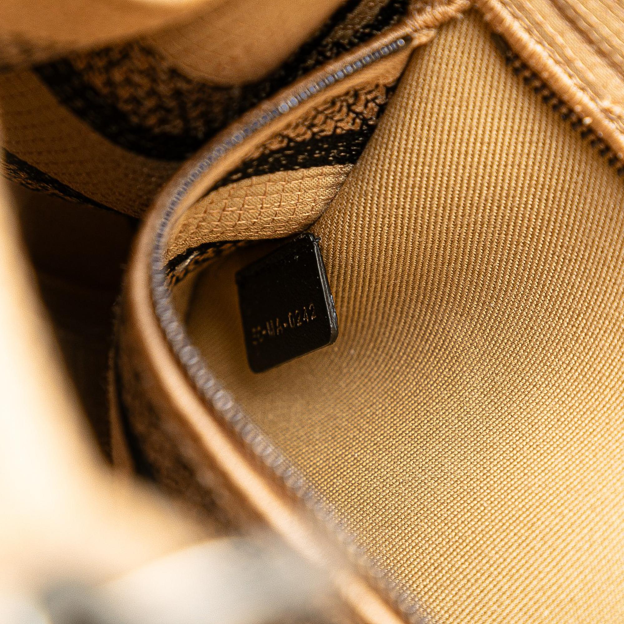 Dior Medium Jute Embroidered Lady D Lite