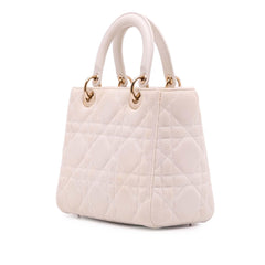 Dior Medium Mesh Cannage Lady Dior