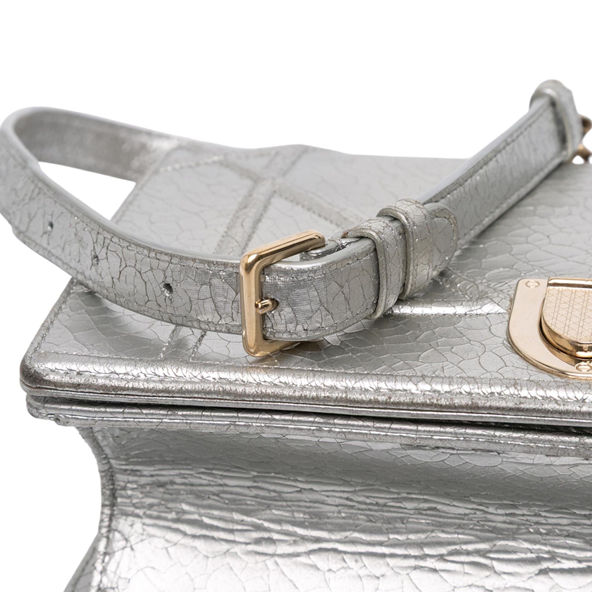 Dior Medium Metallic Ceramic Effect Deerskin Diorama Flap