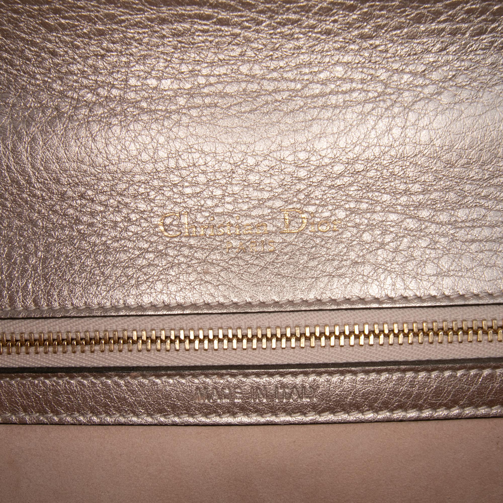Dior Medium Metallic Grained Calfskin Diorama Flap
