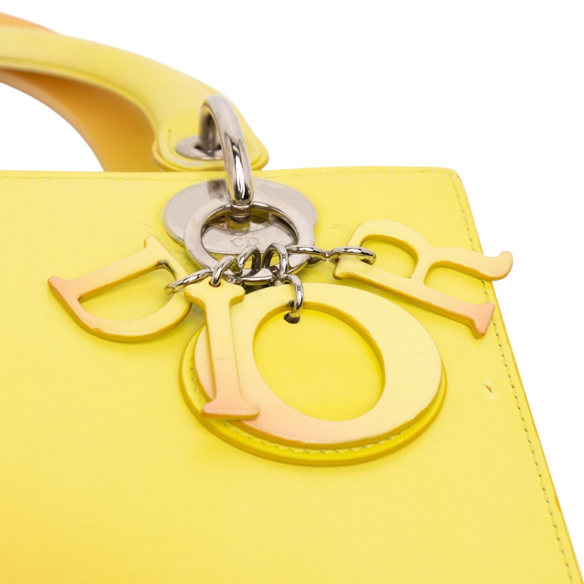 Dior Medium Ombre Calfskin Lady Dior