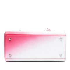 Dior Medium Ombre Calfskin Lady Dior