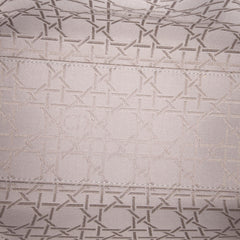 Dior Medium Pearlescent Lambskin Cannage Lady Dior