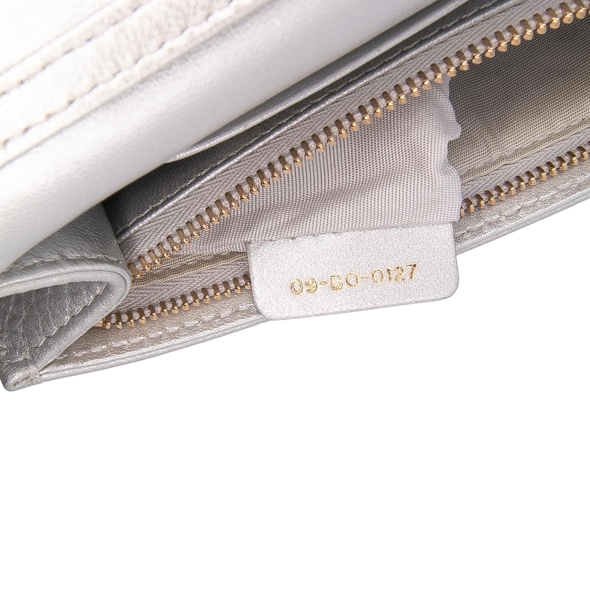 Dior Metallic Grained Calfskin Diorama Wallet On Chain