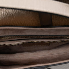 Dior Metallic Grained Calfskin Saddle Bag