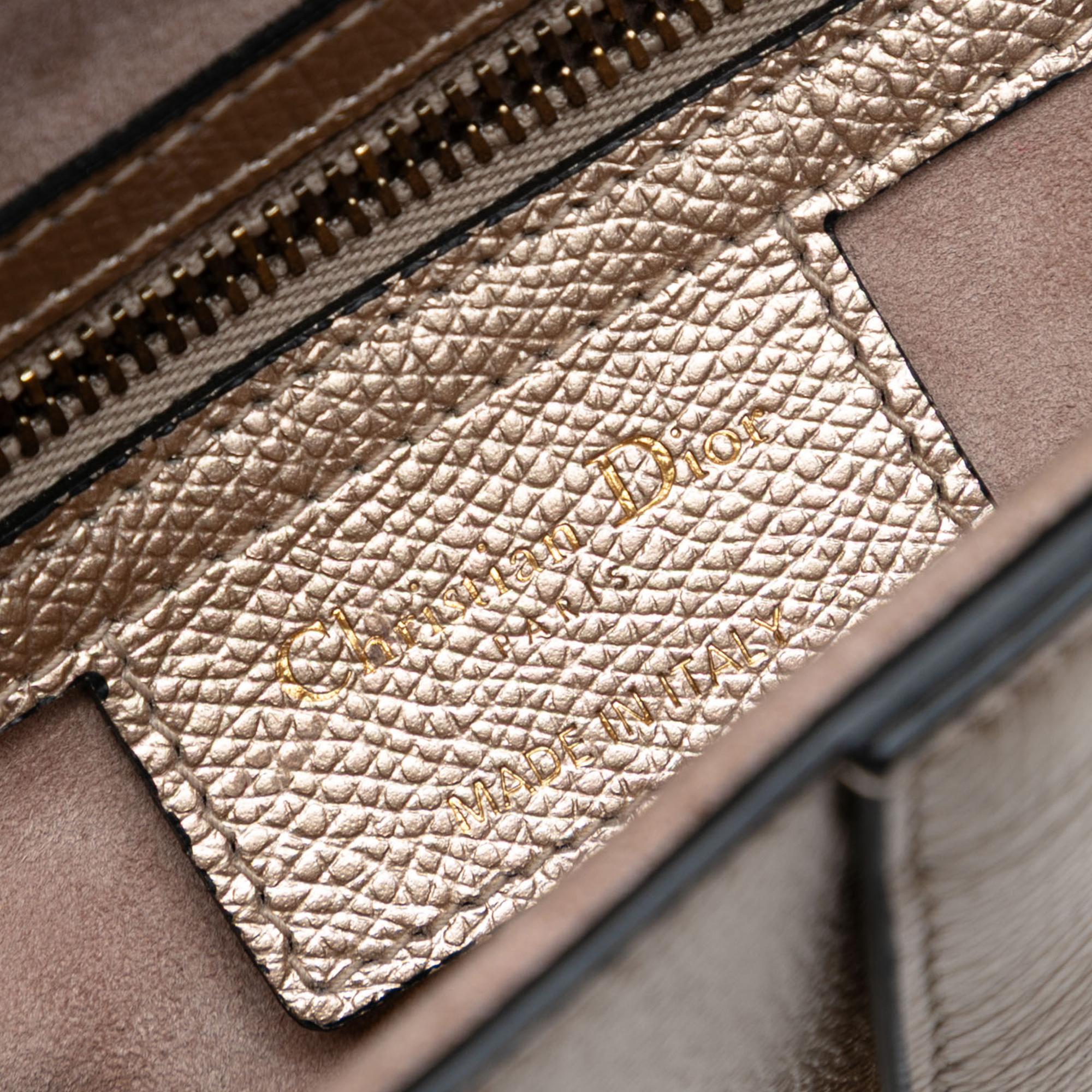 Dior Metallic Grained Calfskin Saddle Bag