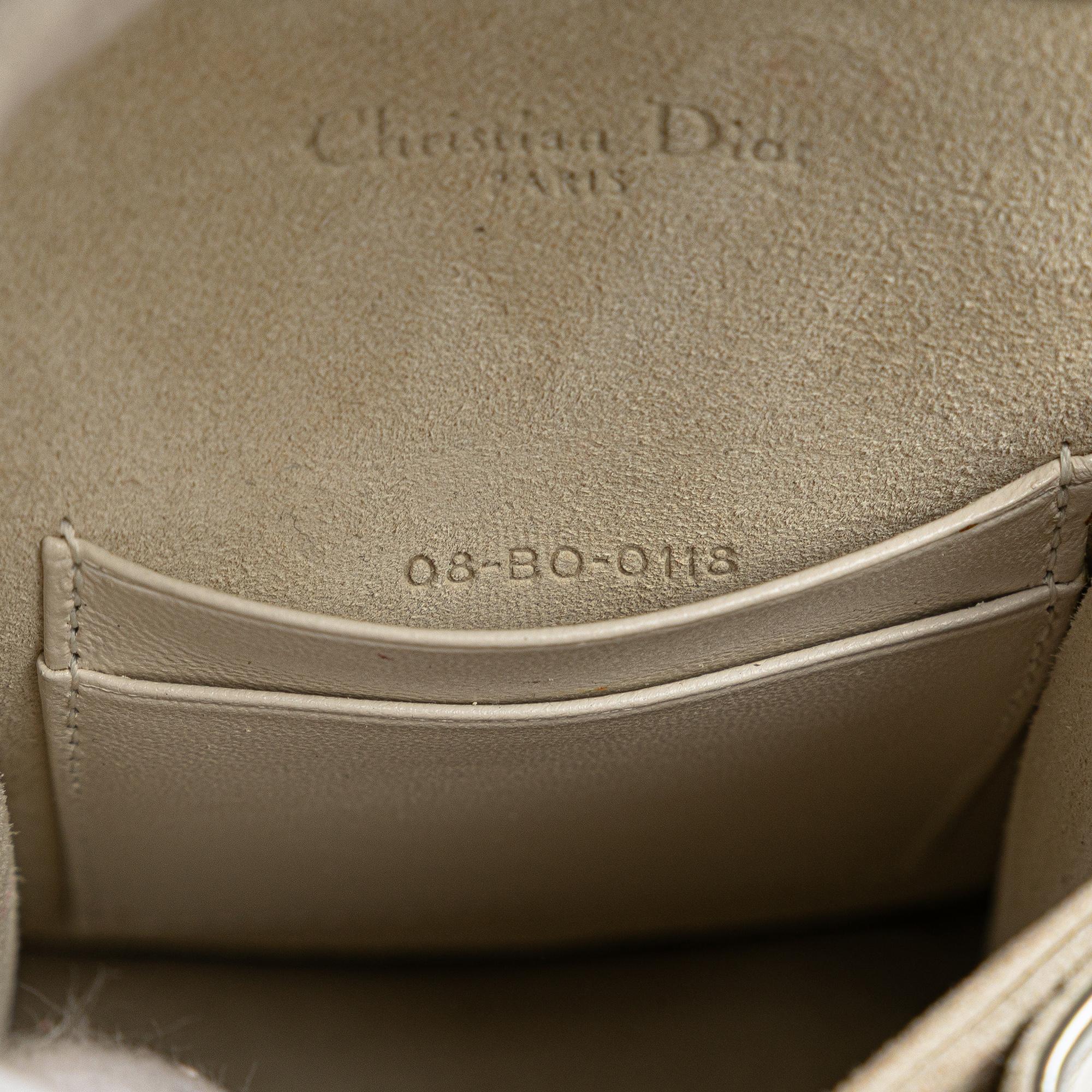 Dior Metallic Studded Calfskin Vertical Diorama