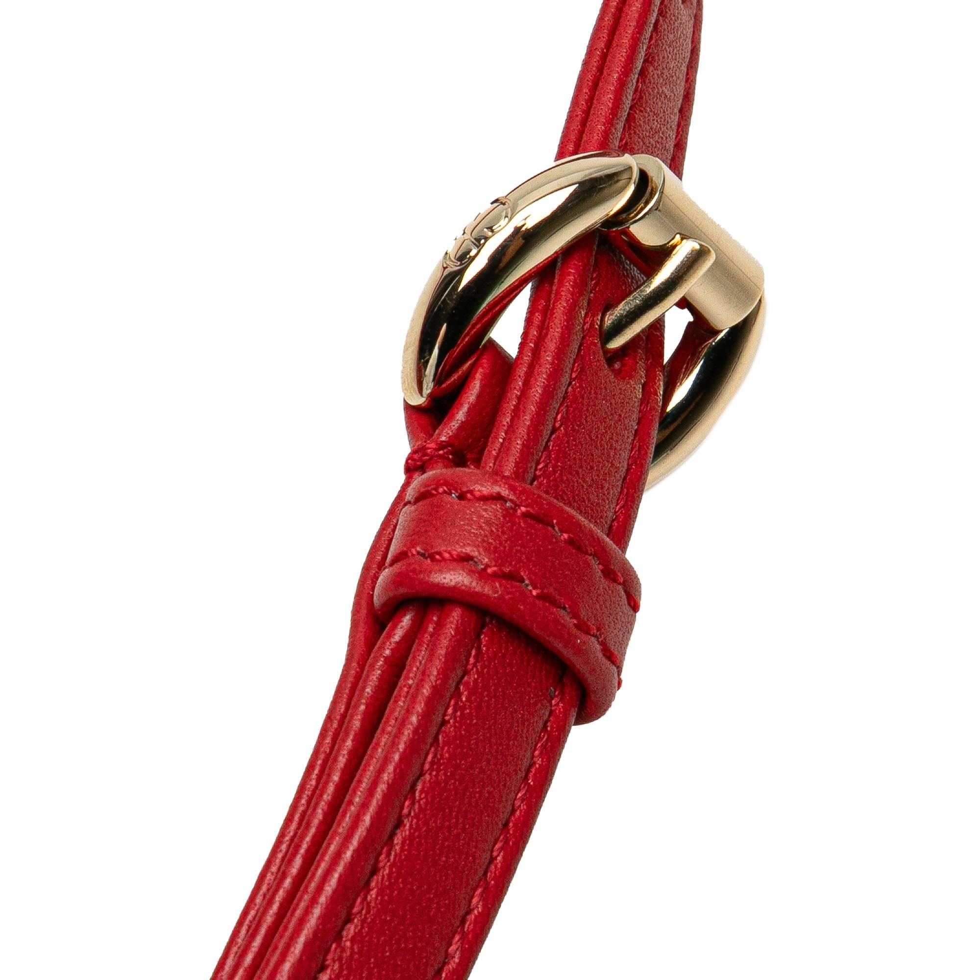 Dior Micro Calfskin Cannage Dioramour Lady Dior