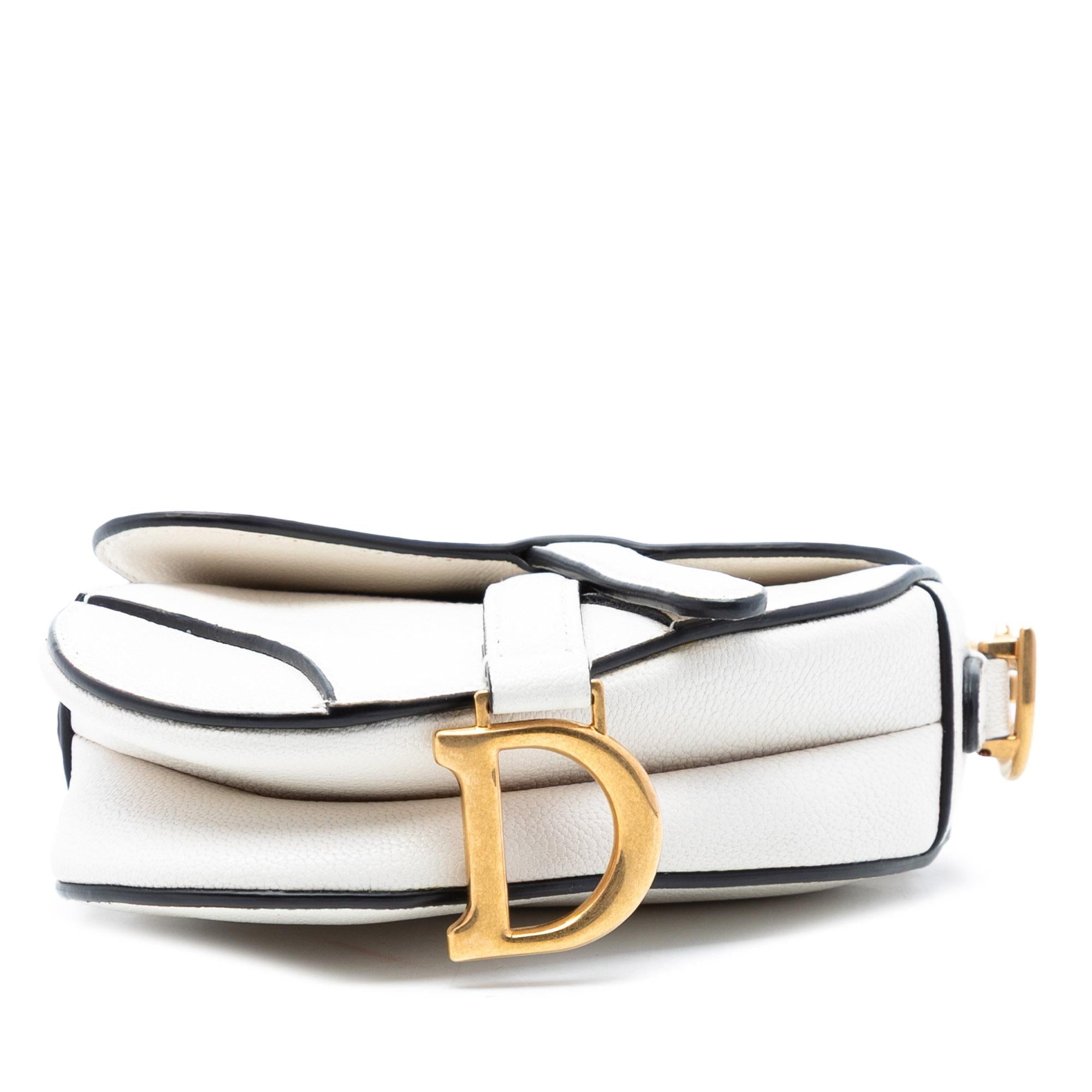Dior Micro Goatskin Saddle Bag