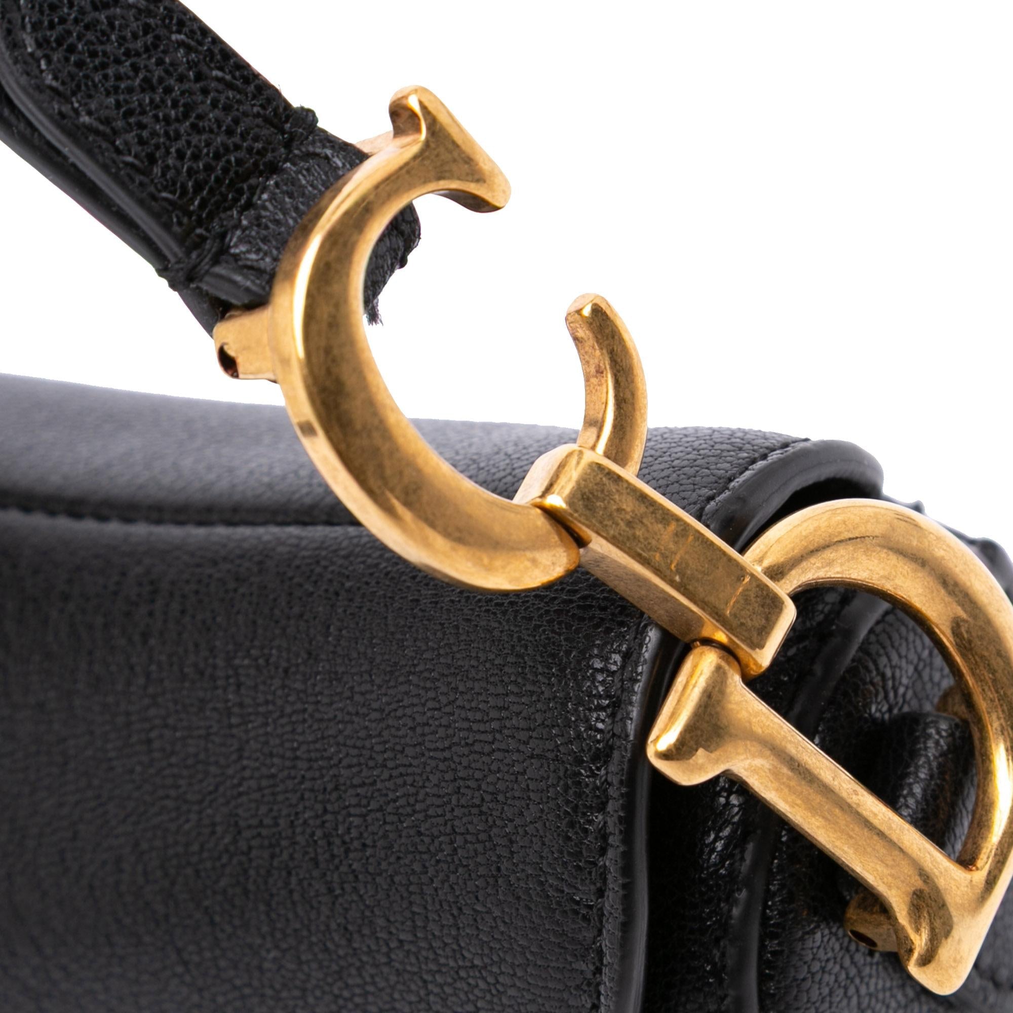 Dior Micro Goatskin Saddle