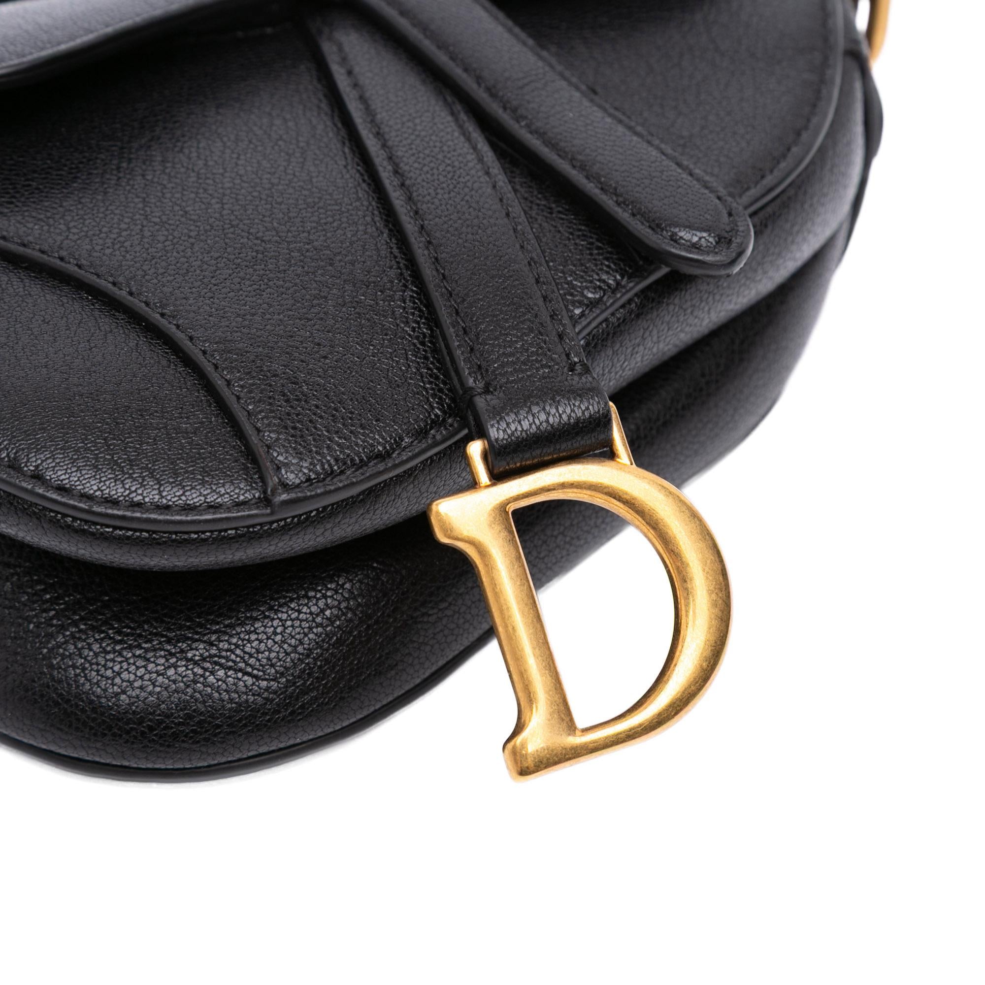 Dior Micro Goatskin Saddle