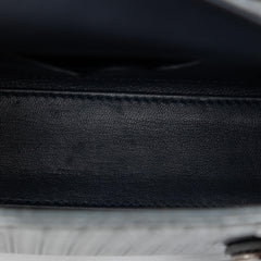 Dior Micro Metallic Patent Microcannage Lady Dior